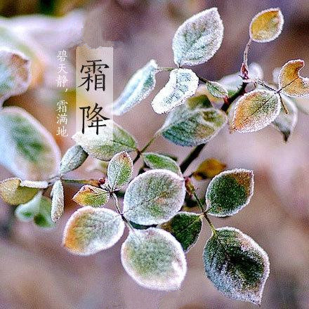 2017年霜降來臨，冬季將來了。