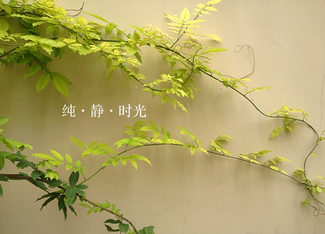 周末時(shí)光到來，好好去放松吧！