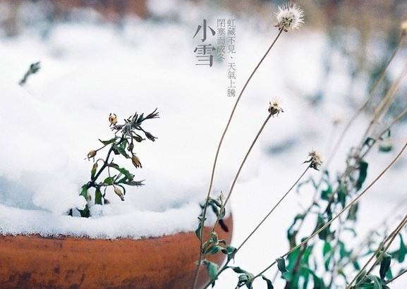 今天是小雪，將正式步入冬天嚴(yán)寒階段。