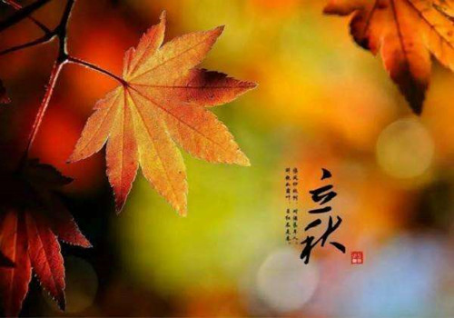 立秋已到，僑洋實(shí)業(yè)小編提醒你酷暑即將結(jié)束咯！