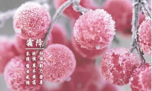 霜降已到，冬天還會遠嗎？