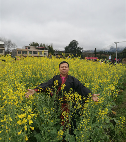 意外驚喜油菜花