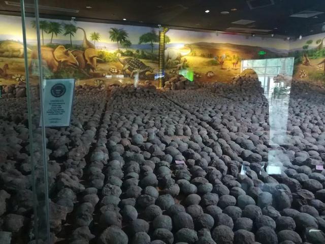 國際博物館日，僑洋實業(yè)環(huán)形變壓器廠家與您有個約會