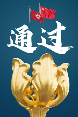 香港安全法經(jīng)決議全票通過(guò)